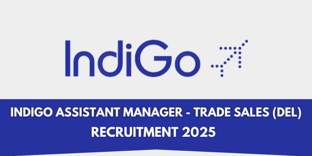 indigo hiring